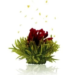 36er Pack ErblühTee Grüner Tee Fruity Flavor -Küchenzubehör creano 36er pack erbluhtee gruner tee fruity flavor 3