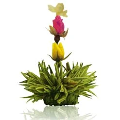 36er Pack ErblühTee Grüner Tee Fruity Flavor -Küchenzubehör creano 36er pack erbluhtee gruner tee fruity flavor 4