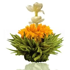 36er Pack ErblühTee Grüner Tee Fruity Flavor -Küchenzubehör creano 36er pack erbluhtee gruner tee fruity flavor 6