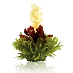 36er Pack ErblühTee Grüner Tee Fruity Flavor -Küchenzubehör creano 36er pack erbluhtee gruner tee fruity flavor 8