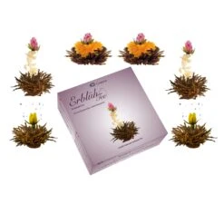 3x 6er BOX ErblühTee Grüner Tee + Weißer Tee + Grün/Weiß/Schwarz -Küchenzubehör creano 3x 6er box erbluhtee gruner tee weisser tee grun weiss schwarz 5