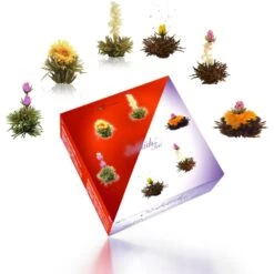 6er Box: ErblühTee Weißtee & Schwarztee