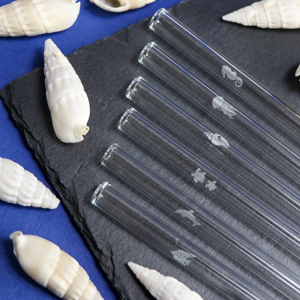 6er Set Trinkhalm: "Sea Life" Glas-Strohhalme In Transparent - 20 Cm 4 6er Set Trinkhalm: "Sea Life" Glas-Strohhalme In Transparent - 20 Cm – Bild 2