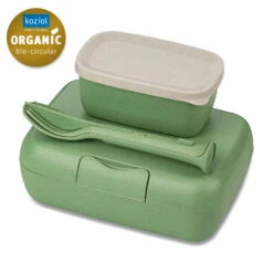 CANDY READY - Lunchbox-Set + Besteck-Set In Nature Leaf Green