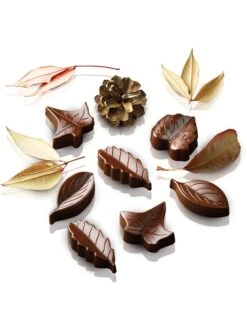 Silikomart Silikon-Pralinenform In Braun - (B)24 X (T)11,2 Cm -Küchenzubehör silikomart silikon pralinenform in braun b 24 x t 11 2 cm 2