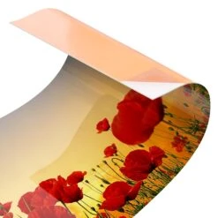 Küchenrückwand - Mohnblumenfeld Im Sonnenuntergang In Rot -Küchenzubehör wallart kuchenruckwand mohnblumenfeld im sonnenuntergang in rot 4