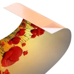 Küchenrückwand - Mohnblumenfeld Im Sonnenuntergang In Rot -Küchenzubehör wallart kuchenruckwand mohnblumenfeld im sonnenuntergang in rot 5