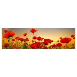Küchenrückwand - Mohnblumenfeld Im Sonnenuntergang In Rot -Küchenzubehör wallart kuchenruckwand mohnblumenfeld im sonnenuntergang in rot 6