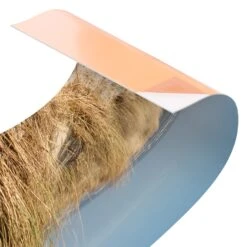 Küchenrückwand - Ostsee Strand In Creme-Beige -Küchenzubehör wallart kuchenruckwand ostsee strand in creme beige 5