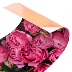 Küchenrückwand - Pinke Pfingstrosen In Pink -Küchenzubehör wallart kuchenruckwand pinke pfingstrosen in pink 4