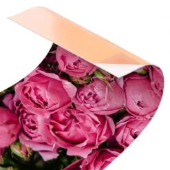 Küchenrückwand - Pinke Pfingstrosen In Pink -Küchenzubehör wallart kuchenruckwand pinke pfingstrosen in pink 5