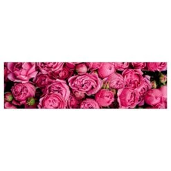 Küchenrückwand - Pinke Pfingstrosen In Pink -Küchenzubehör wallart kuchenruckwand pinke pfingstrosen in pink 6