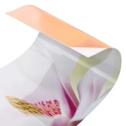 Küchenrückwand - Zarte Magnolienblüte In Creme-Beige -Küchenzubehör wallart kuchenruckwand zarte magnolienblute in creme beige 4